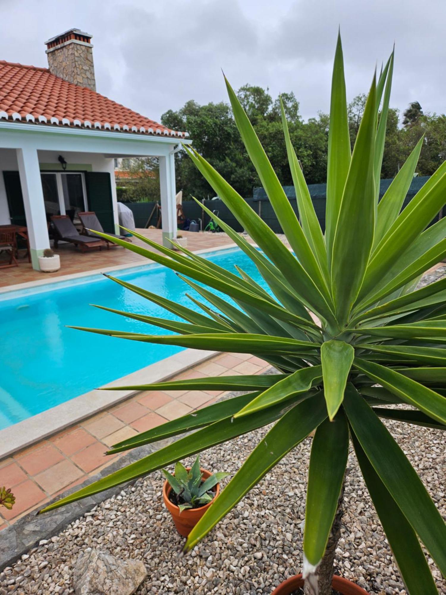 Casa Delbon Guest House อัลเจซูร์ ภายนอก รูปภาพ